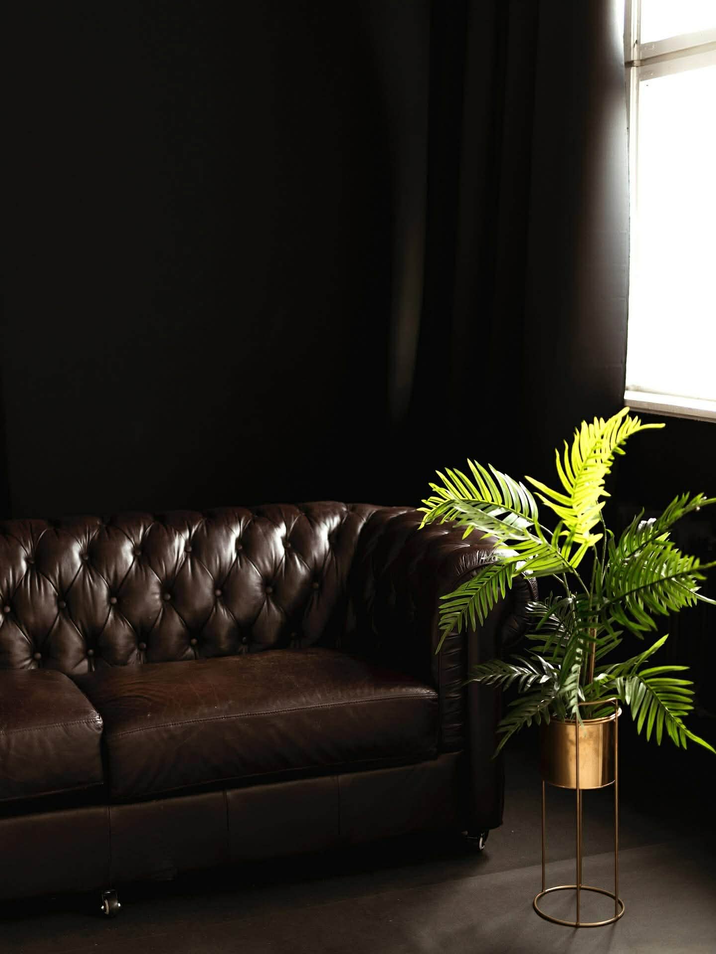 Studio Dark Drama